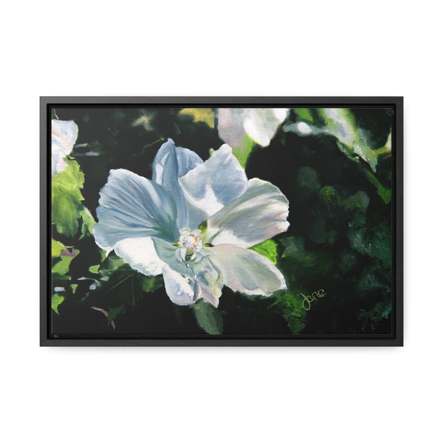 Stretched Canvas Wrap in Wood Frame, White Rose of Sharon by Jane Autry