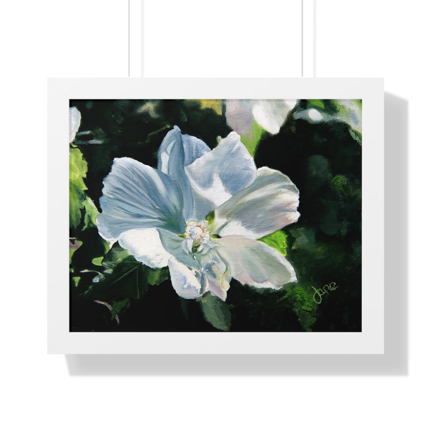 Premium Matte Print--Framed, White Rose of Sharon by Jane Autry