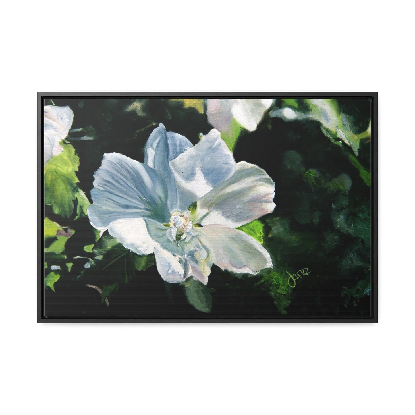 Stretched Canvas Wrap in Wood Frame, White Rose of Sharon by Jane Autry