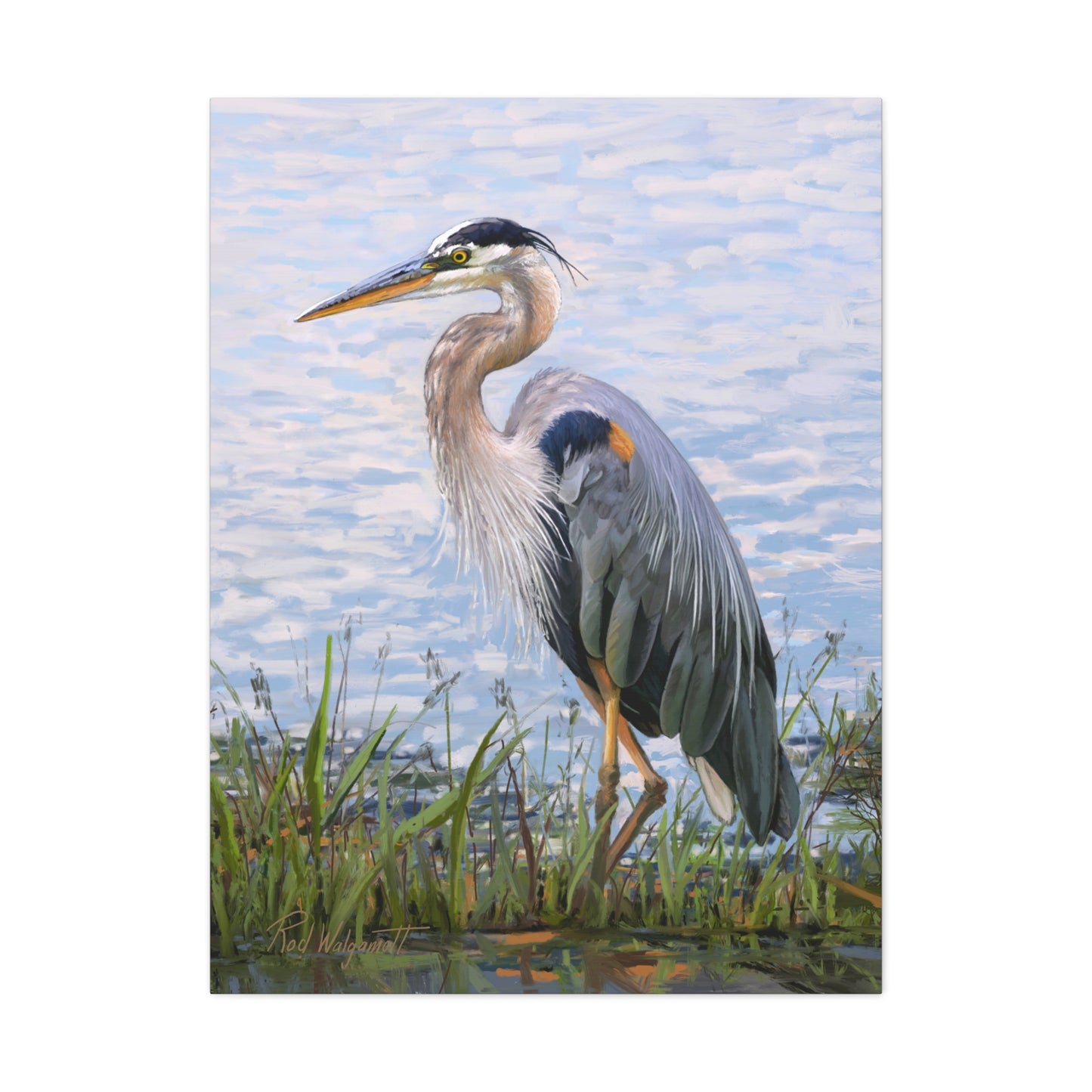 Gallery Wrap Canvas, Blue Heron at Stansbury Lake by Rod Walgamott