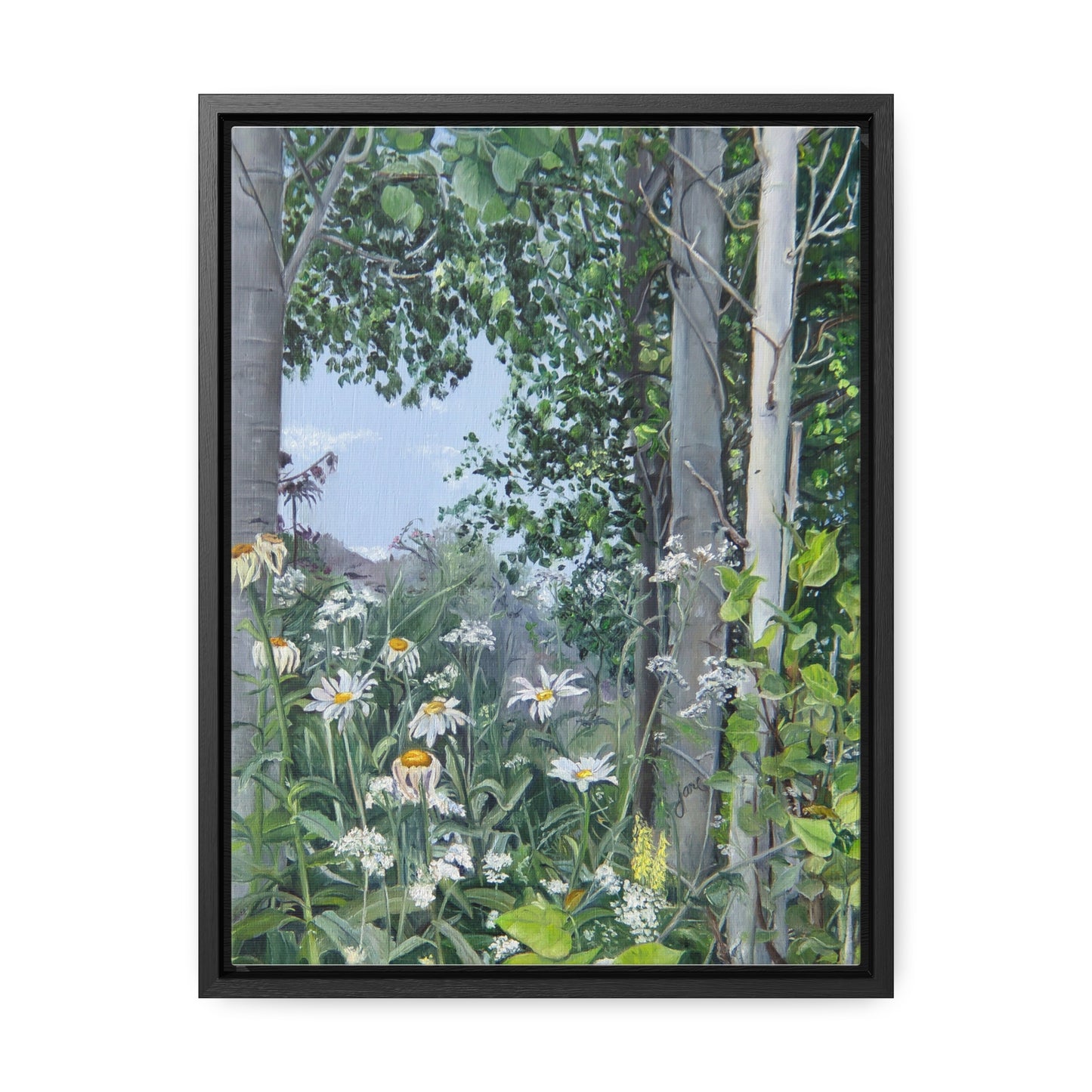 Quakies and Daisies by Jane Autry, Canvas Gallery Wrap