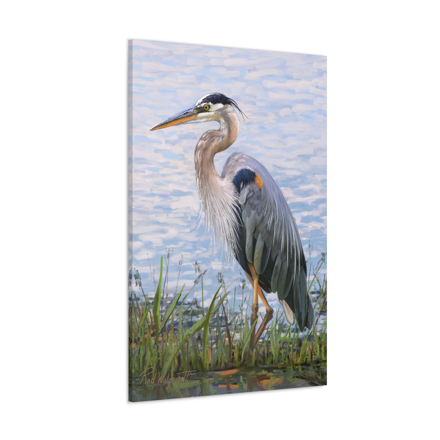 Gallery Wrap Canvas, Blue Heron at Stansbury Lake by Rod Walgamott