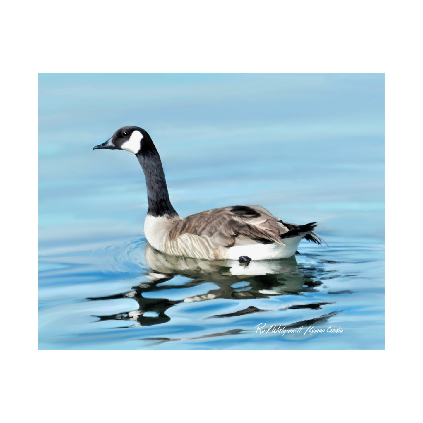 Premium Matte Print, Canada Goose on Stansbury Lake, by Rod Walgamott (Reference Photo by Lyman Condie)