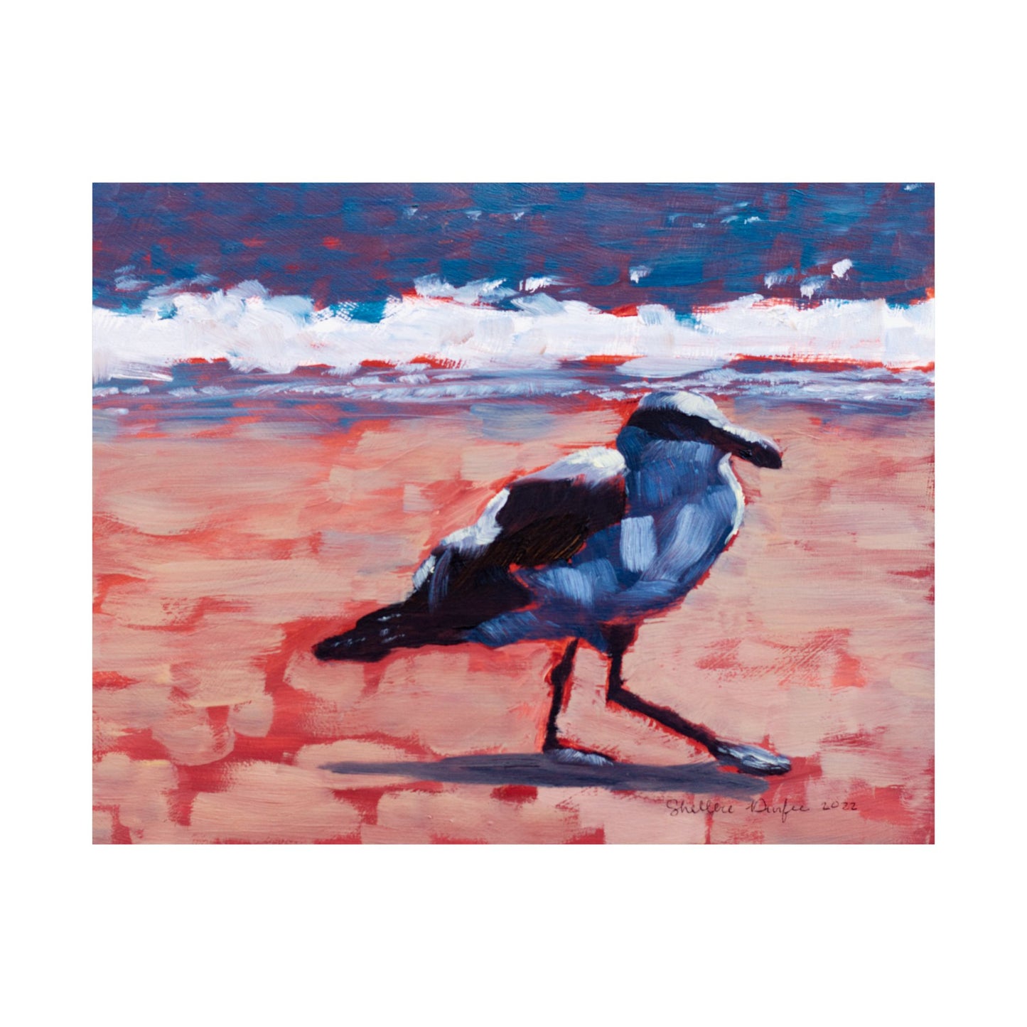 Premium Matte Print, Seagull, by Shellece Durfee