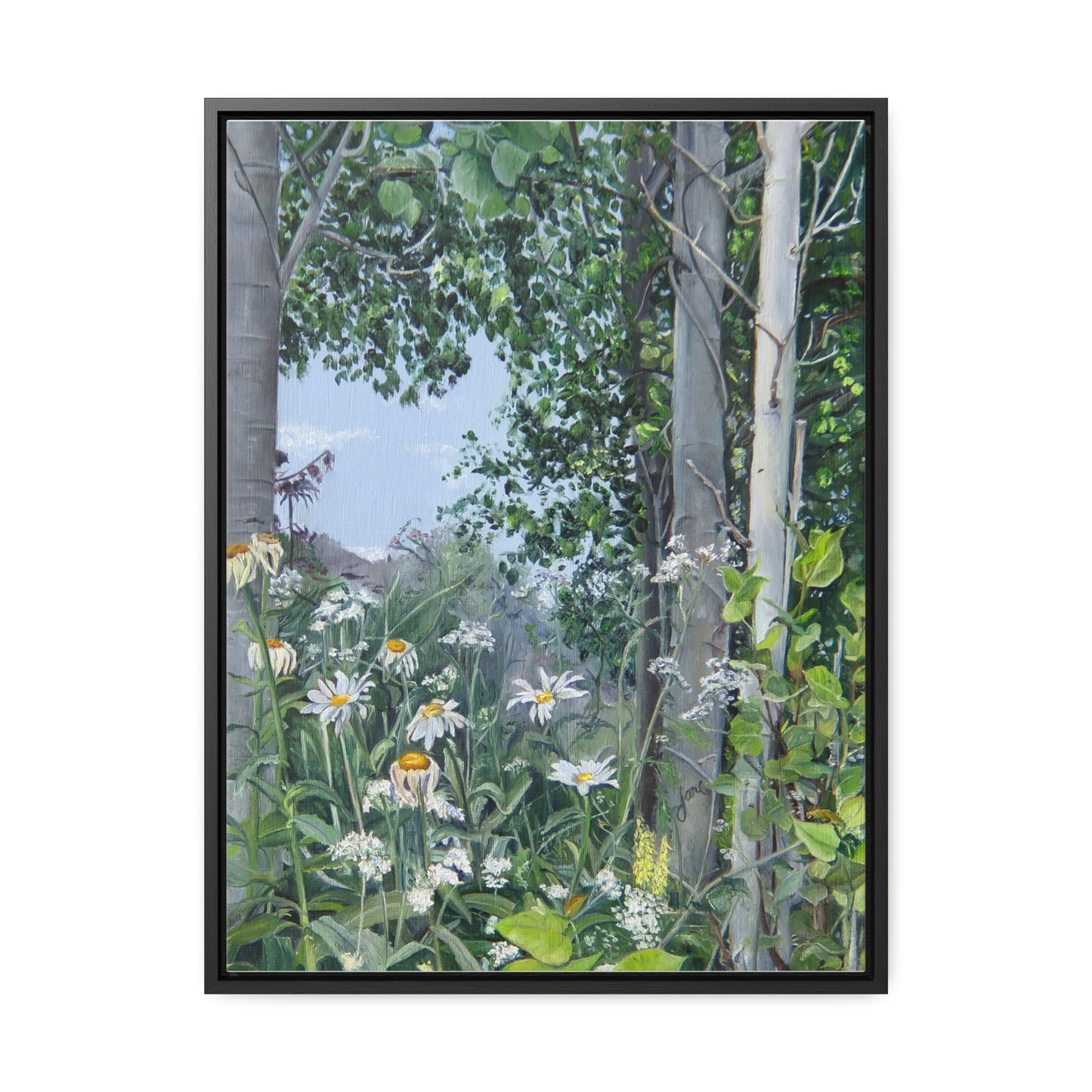 Quakies and Daisies by Jane Autry, Canvas Gallery Wrap
