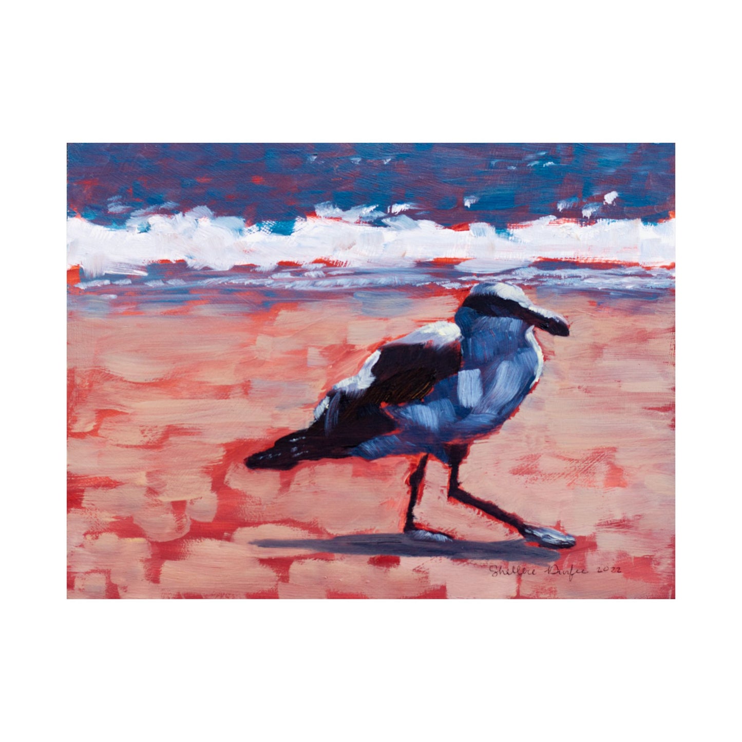 Premium Matte Print, Seagull, by Shellece Durfee