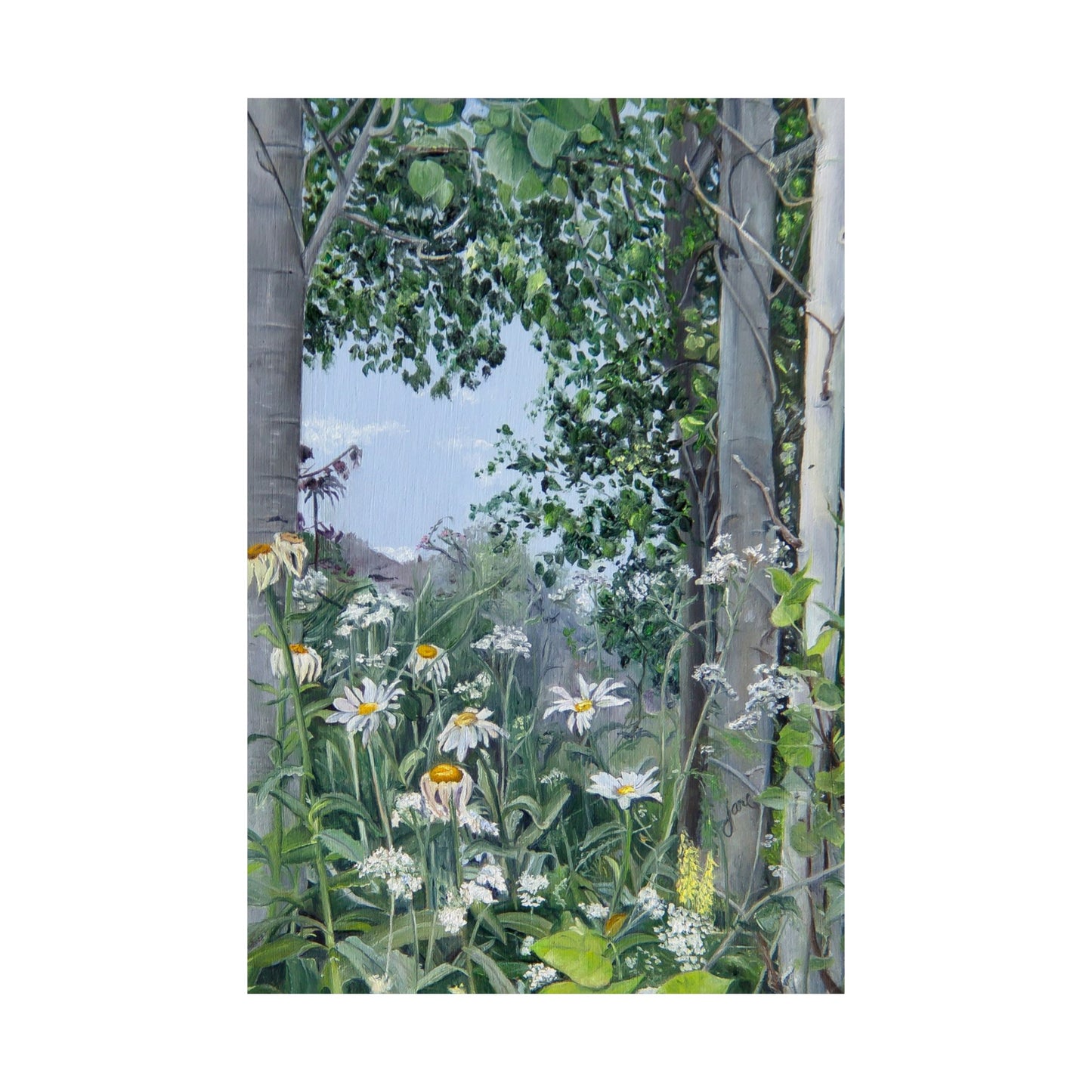 Quakies and Daisies by Jane Autry, Premium Matte Paper Print