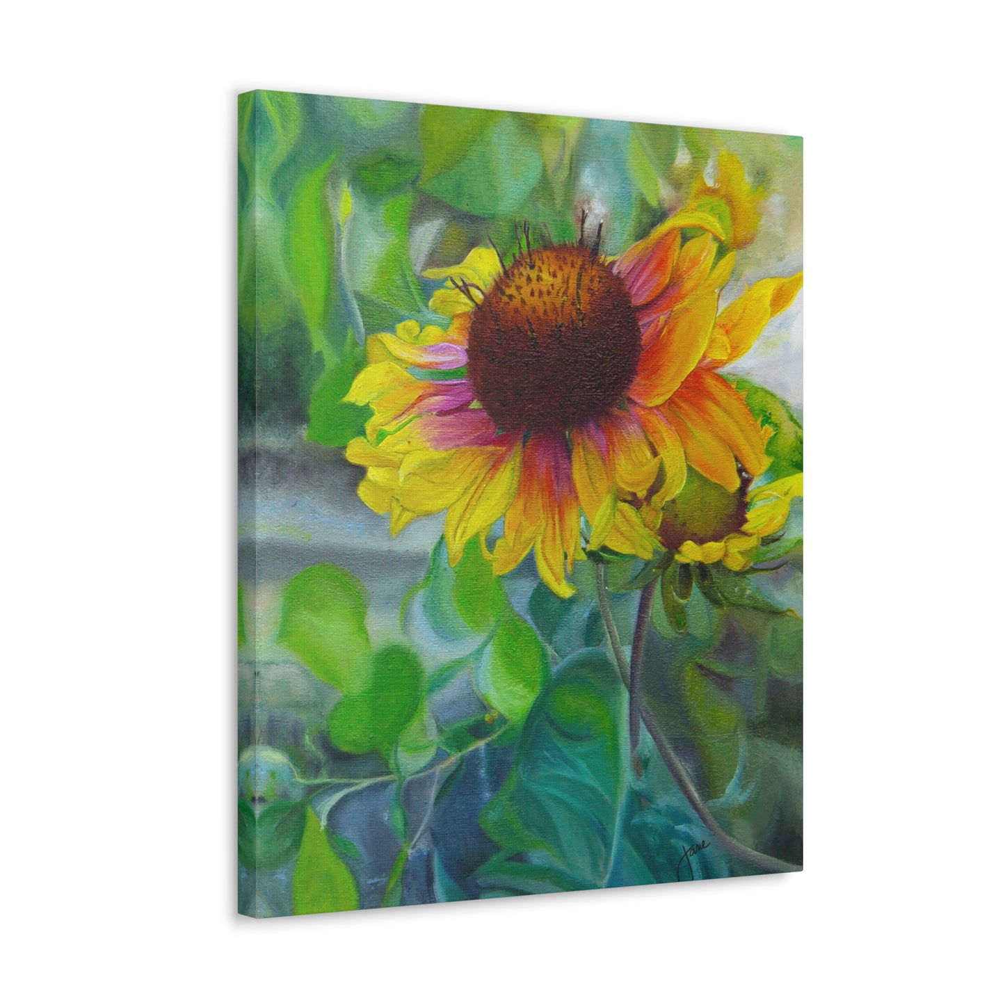 Indian Blanket Flower by Jane Autry, Canvas Gallery Wrap