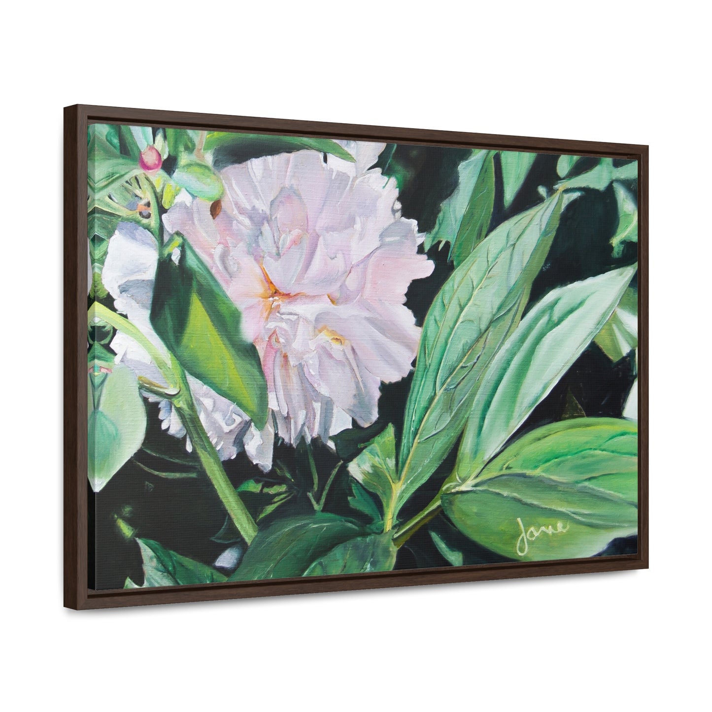 Stretched Canvas Wrap in Wood Frame, Shy Peone by Jane Autry