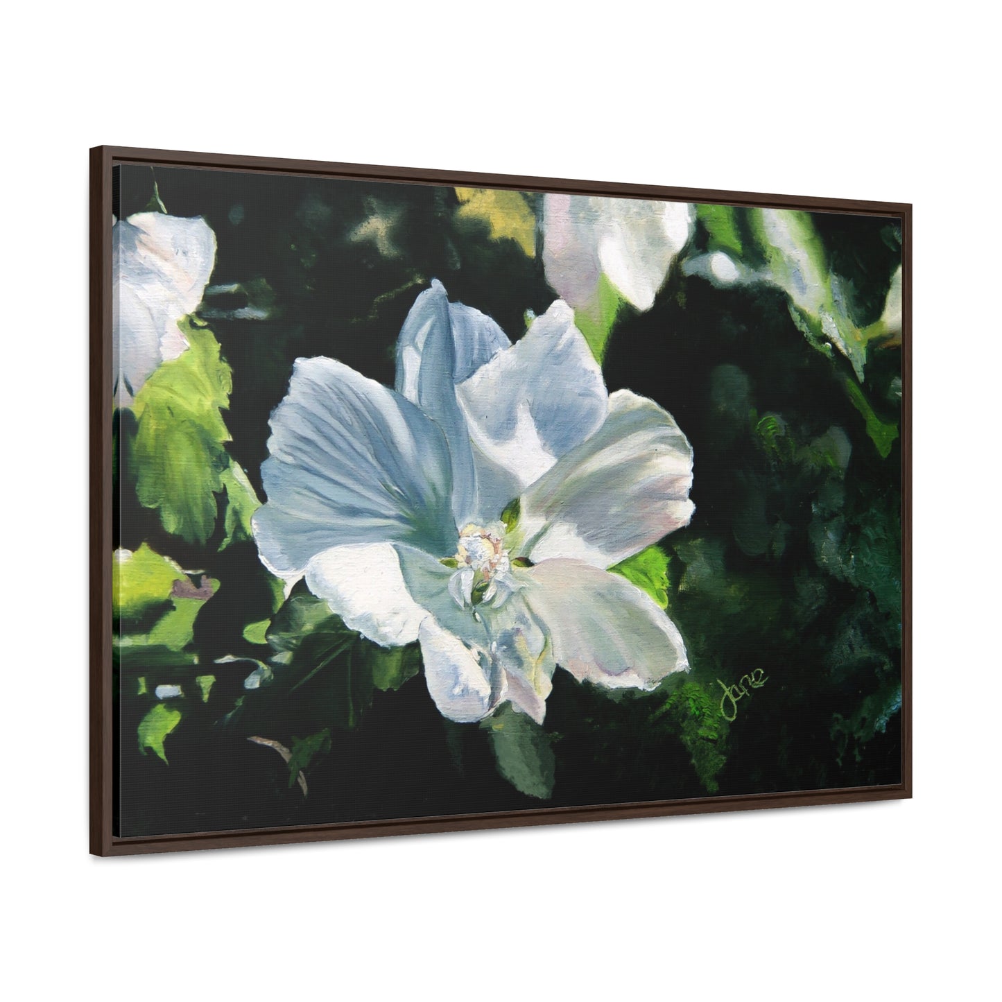 Stretched Canvas Wrap in Wood Frame, White Rose of Sharon by Jane Autry