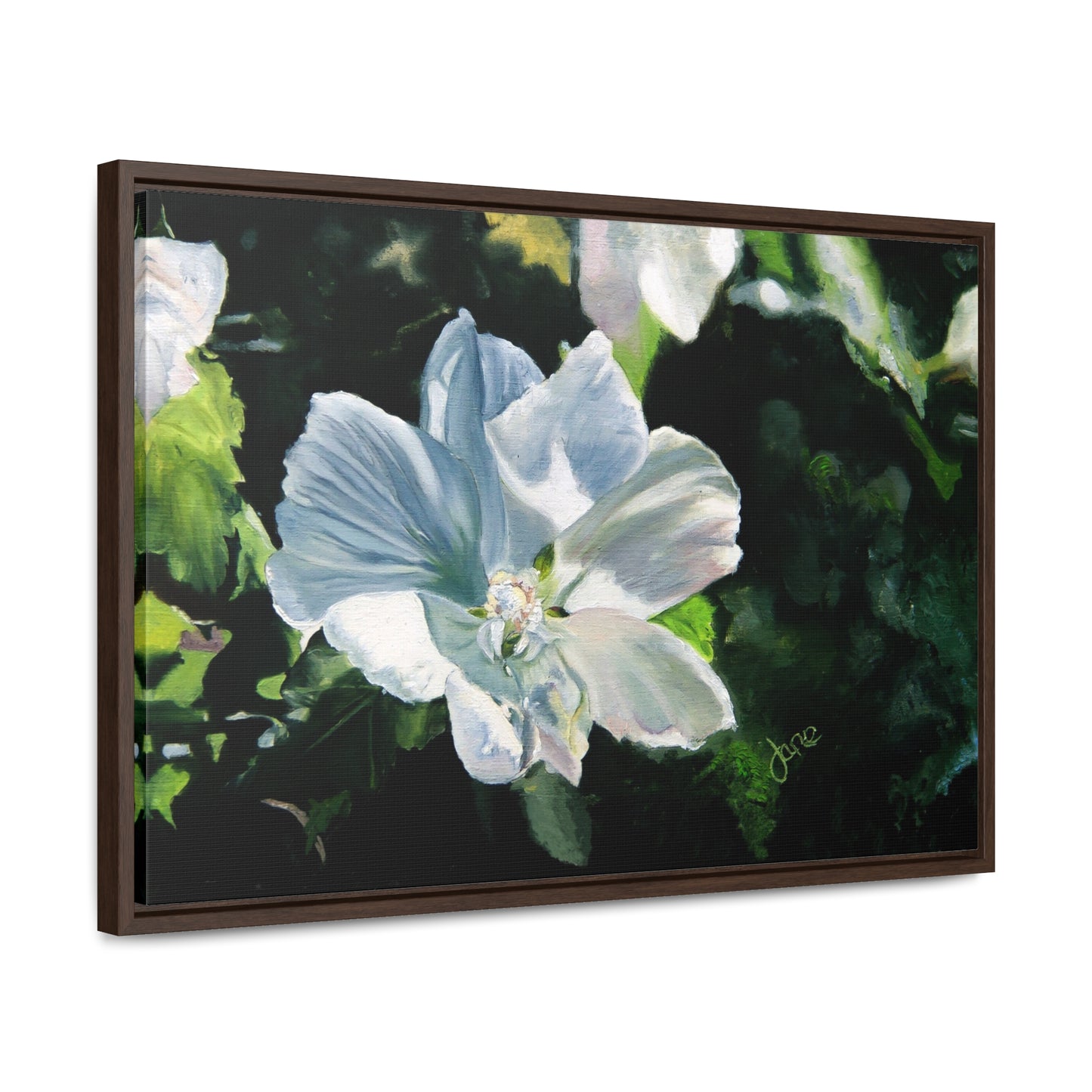 Stretched Canvas Wrap in Wood Frame, White Rose of Sharon by Jane Autry