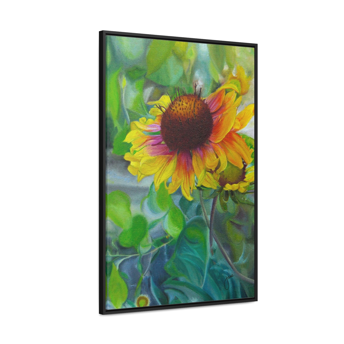 Indian Blanket Flower by Jane Autry, Canvas Gallery Wrap