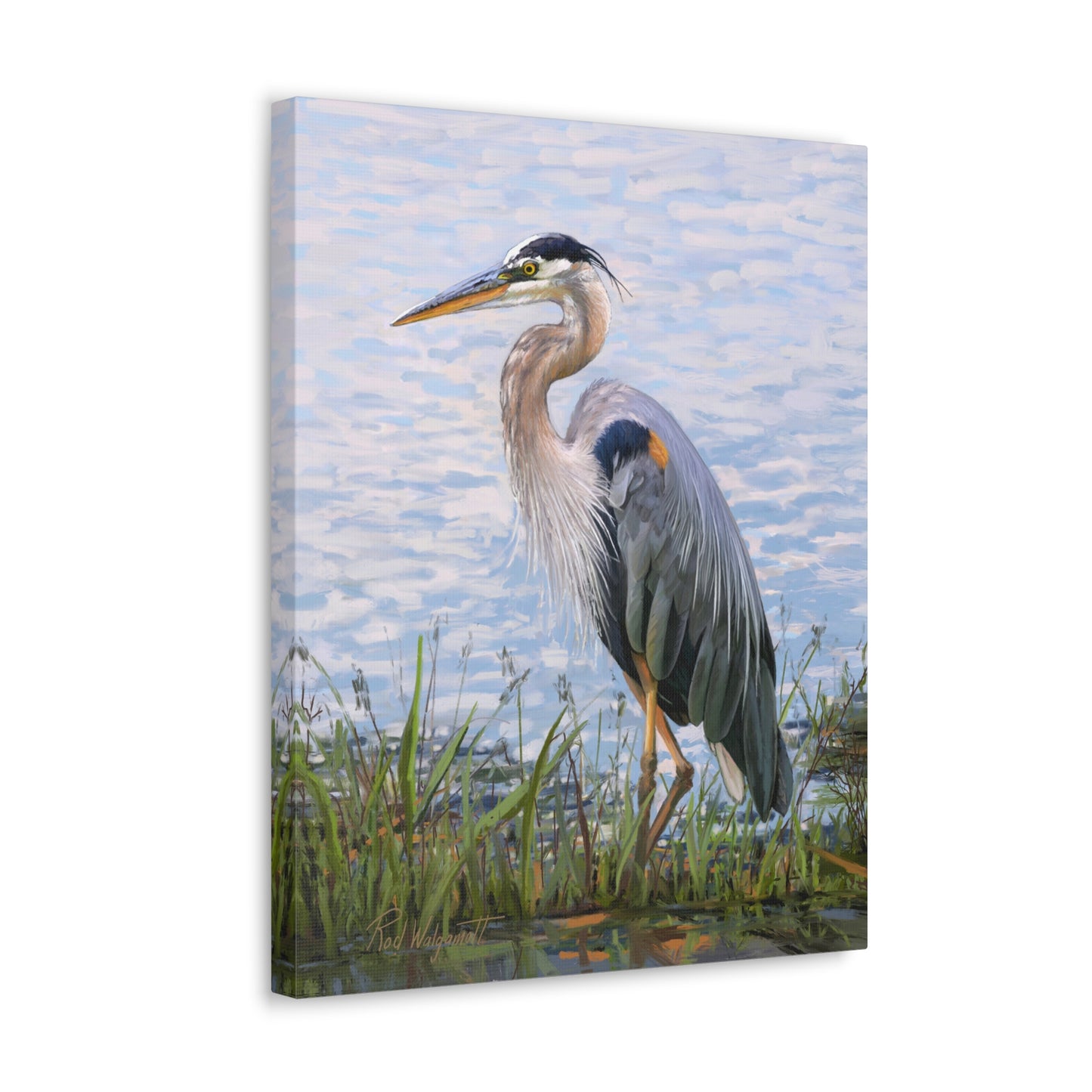 Gallery Wrap Canvas, Blue Heron at Stansbury Lake by Rod Walgamott