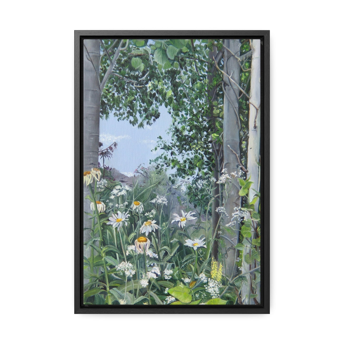 Quakies and Daisies by Jane Autry, Canvas Gallery Wrap