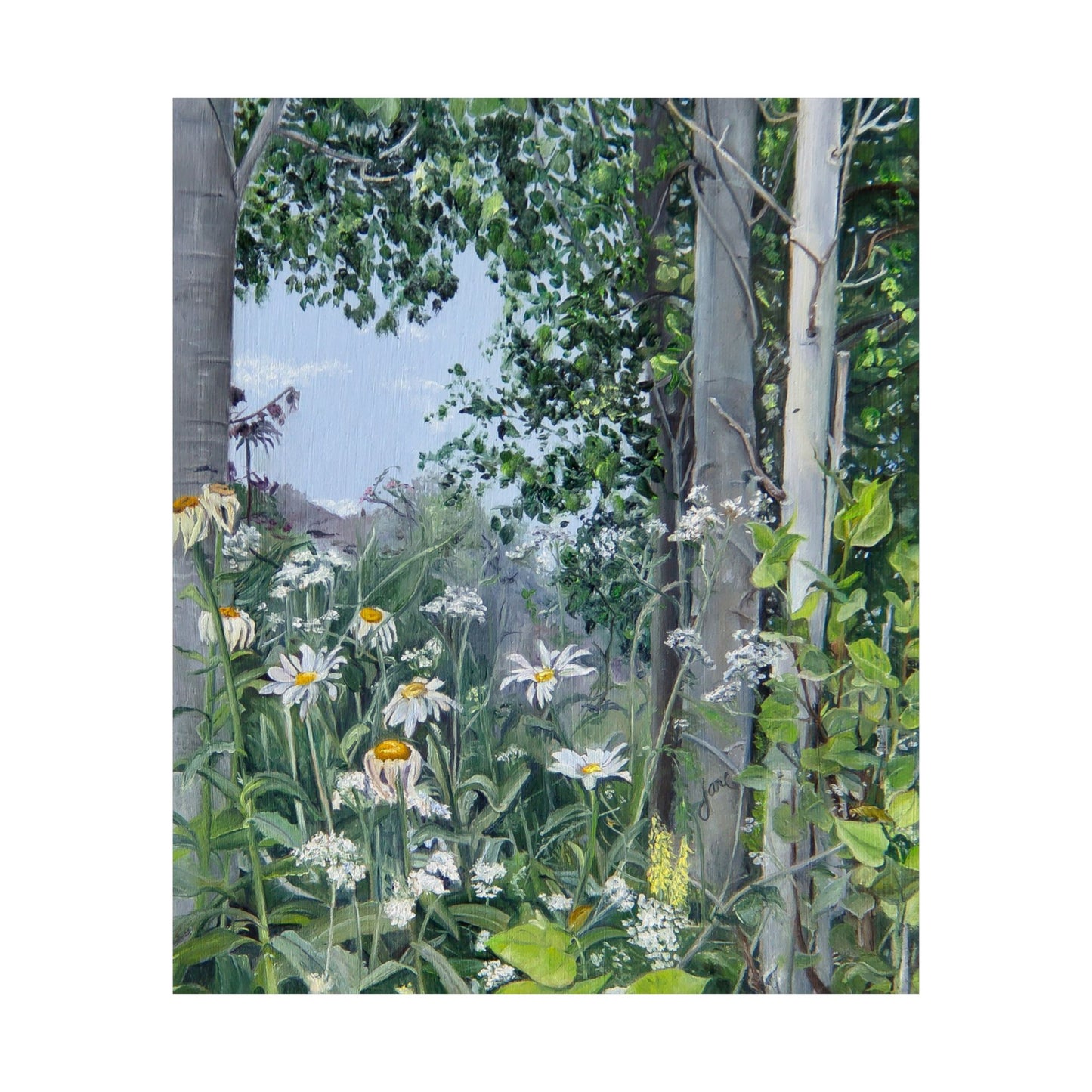 Quakies and Daisies by Jane Autry, Premium Matte Paper Print