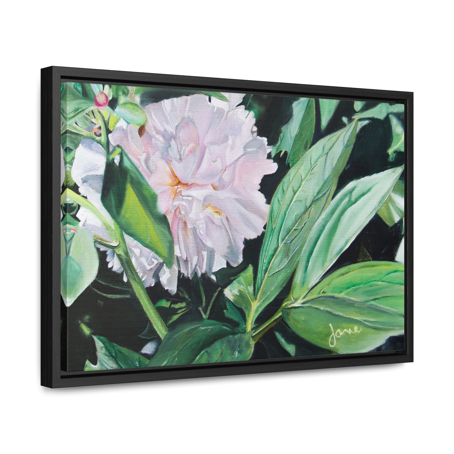 Stretched Canvas Wrap in Wood Frame, Shy Peone by Jane Autry
