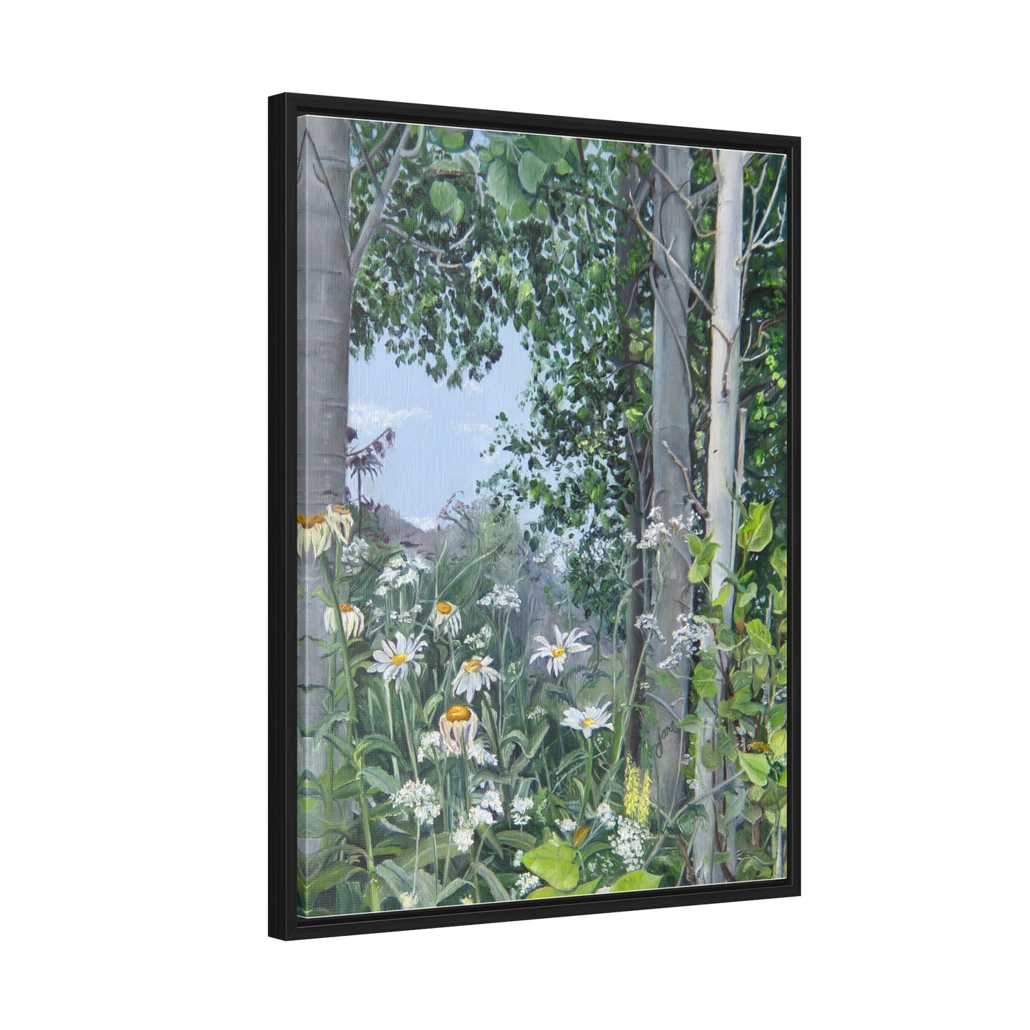 Quakies and Daisies by Jane Autry, Canvas Gallery Wrap