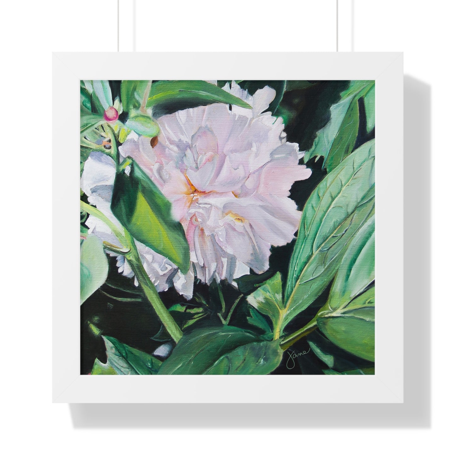 Premium Matte Print--Framed, Shy Peone by Jane Autry