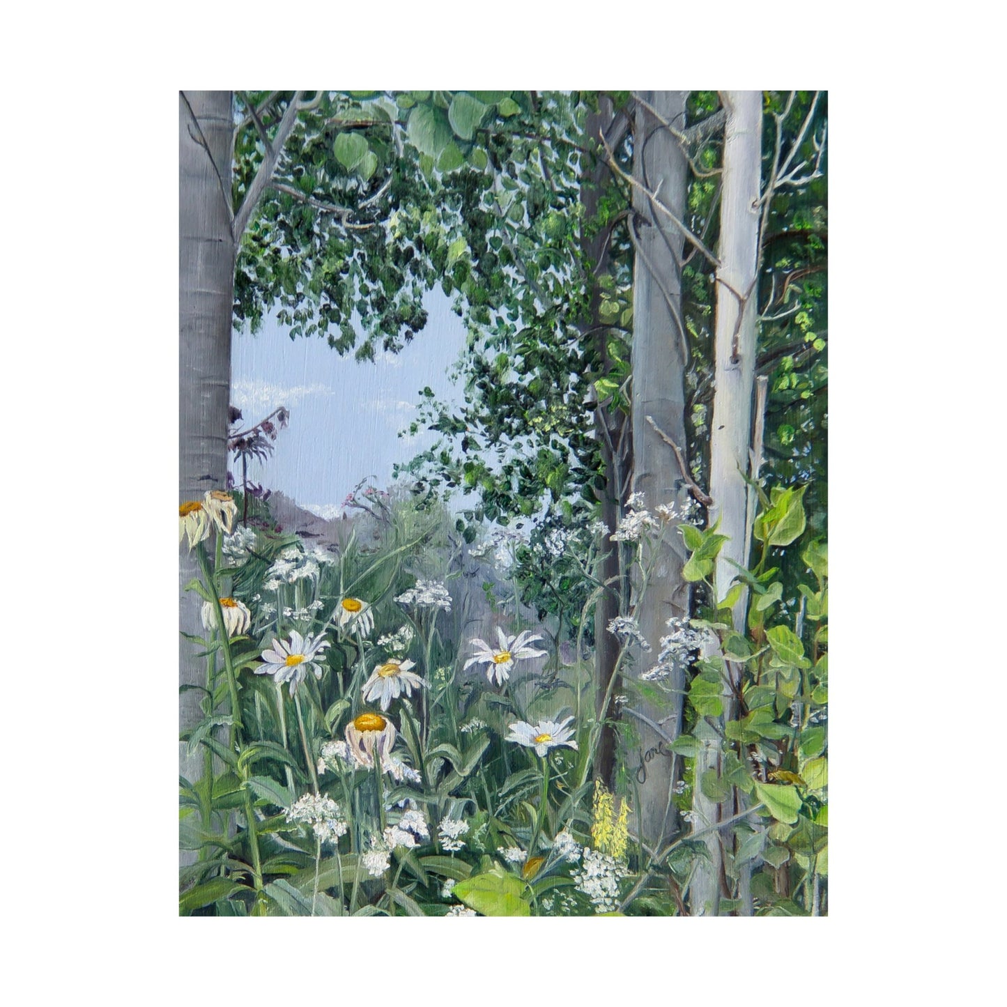 Quakies and Daisies by Jane Autry, Premium Matte Paper Print