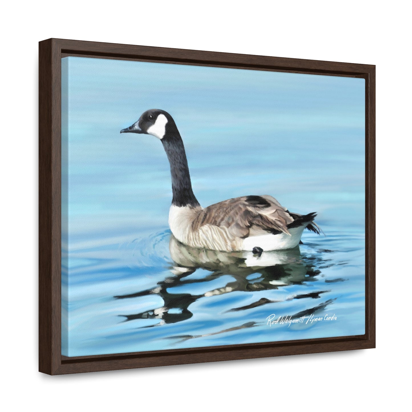 Stretched Canvas Print in Wood Frame, Canada Goose on Stansbury Lake , by Rod Walgamott