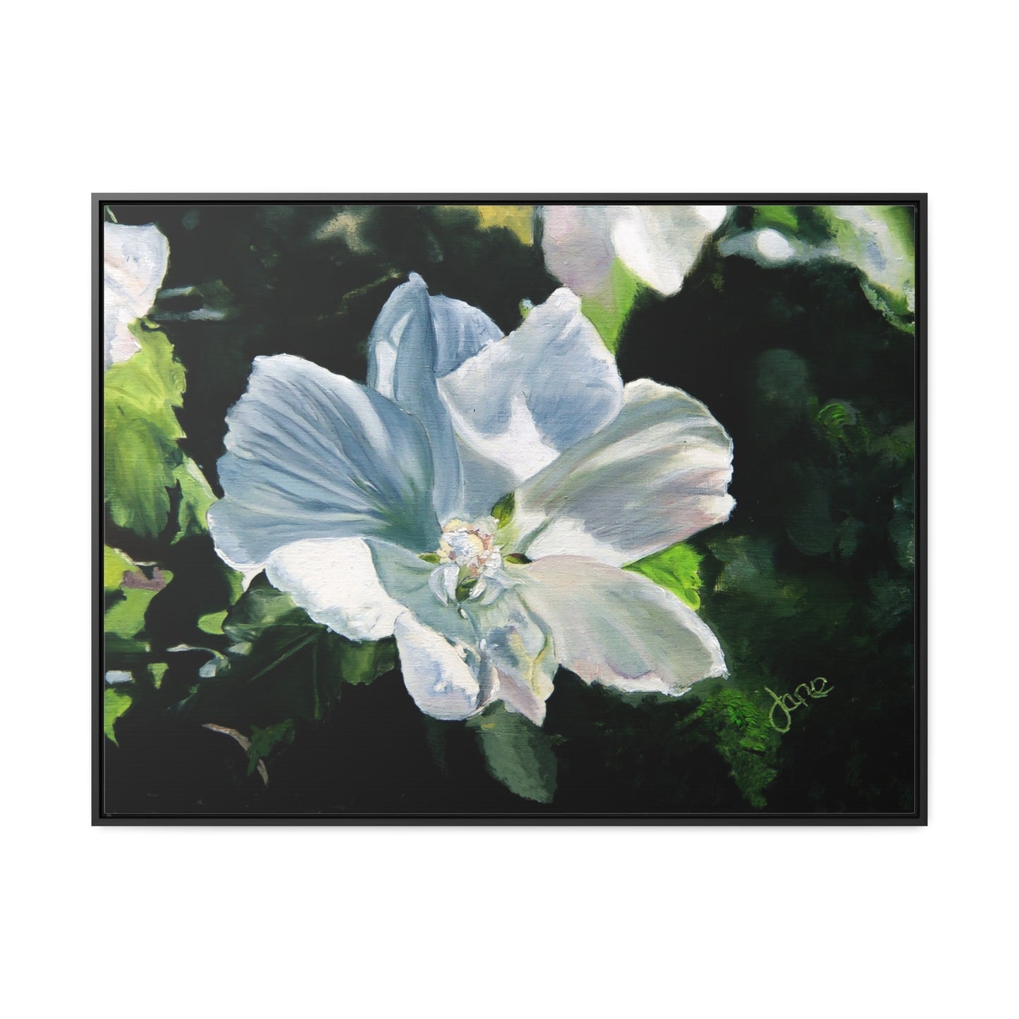 Stretched Canvas Wrap in Wood Frame, White Rose of Sharon by Jane Autry