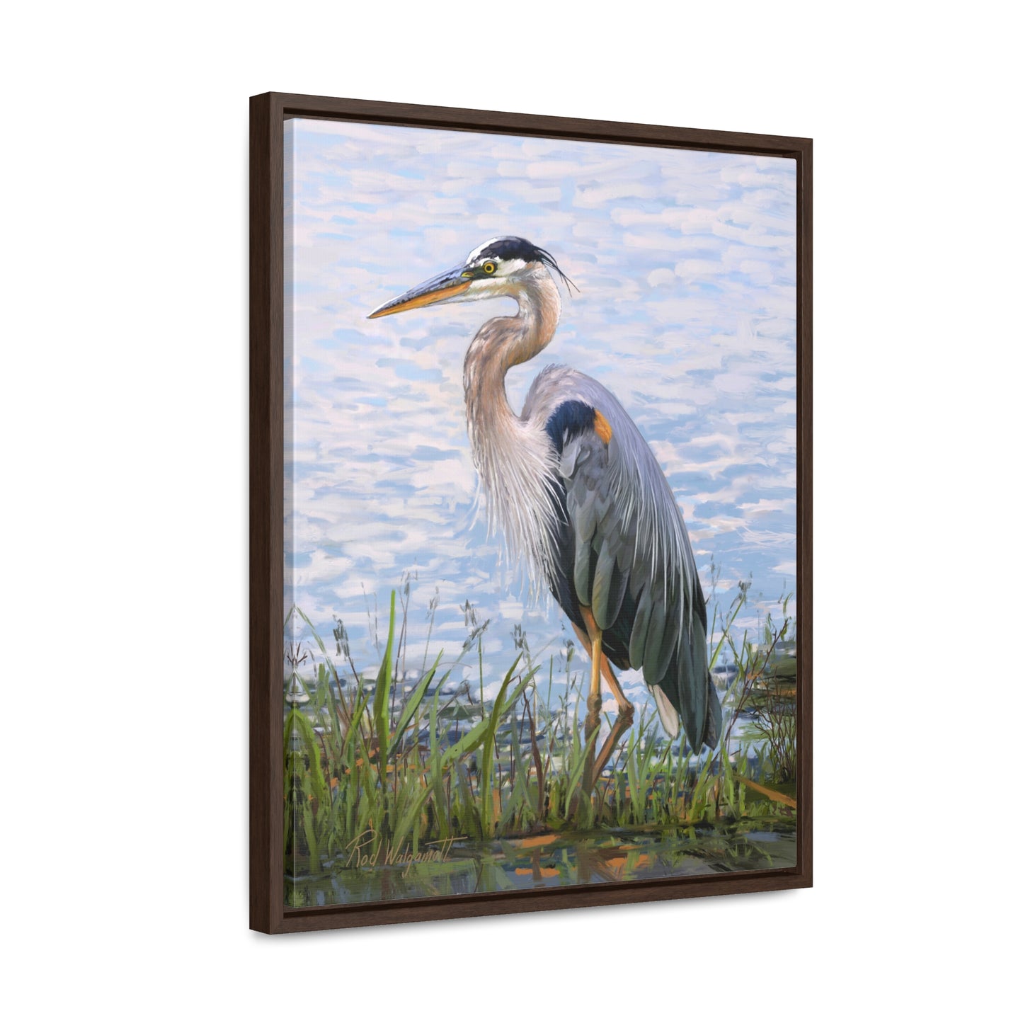 Framed canvas Wrap, Blue Heron at Stansbury Lake, by Rod Walgamott