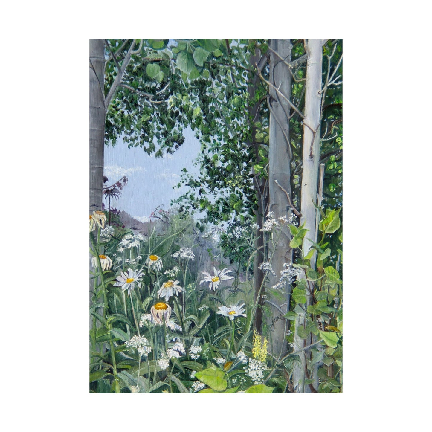 Quakies and Daisies by Jane Autry, Premium Matte Paper Print