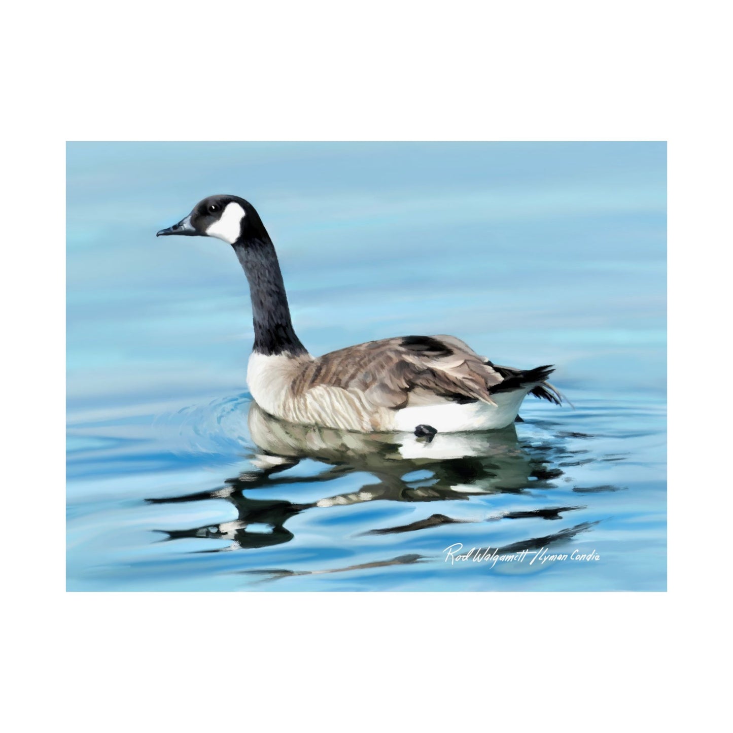Premium Matte Print, Canada Goose on Stansbury Lake, by Rod Walgamott (Reference Photo by Lyman Condie)