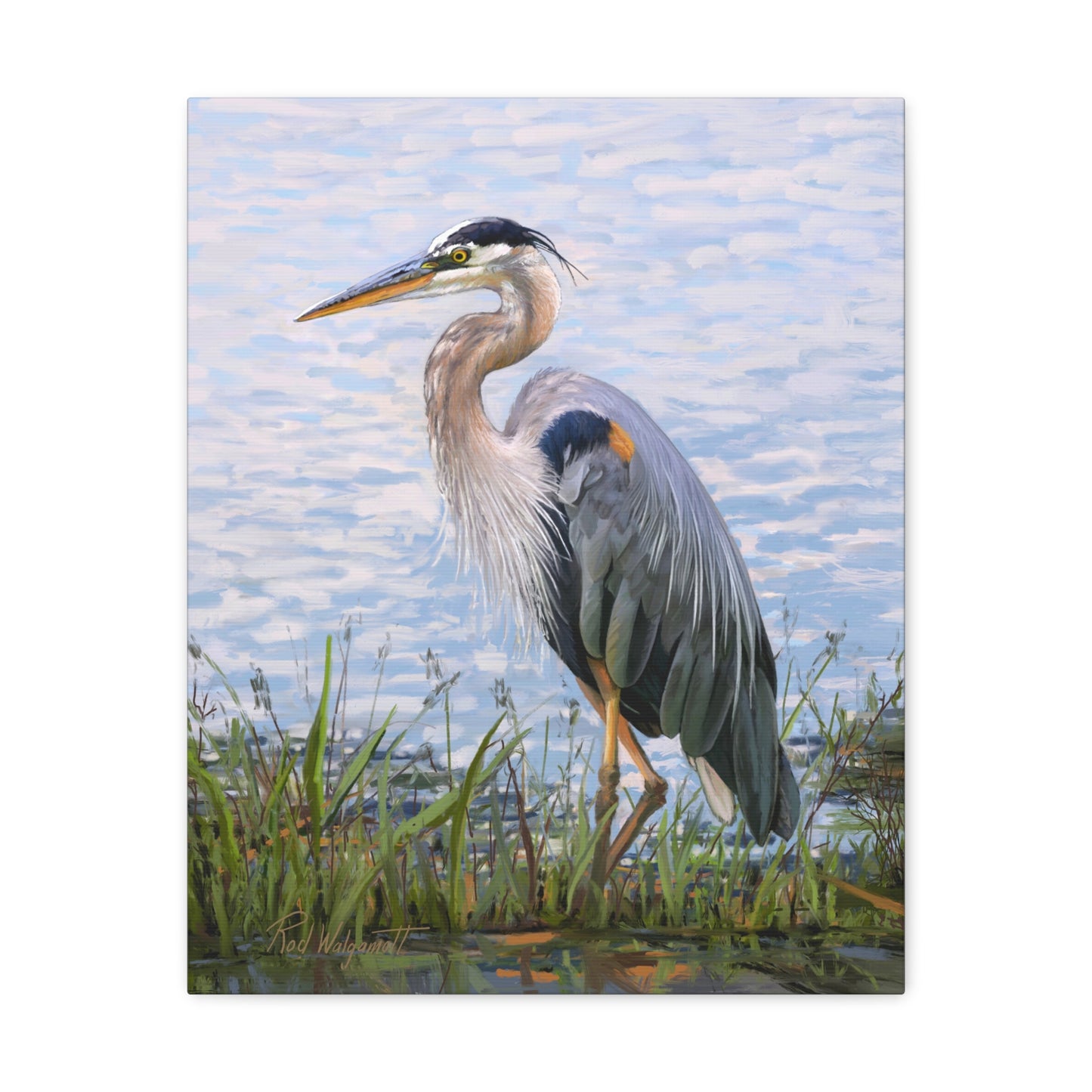Gallery Wrap Canvas, Blue Heron at Stansbury Lake by Rod Walgamott