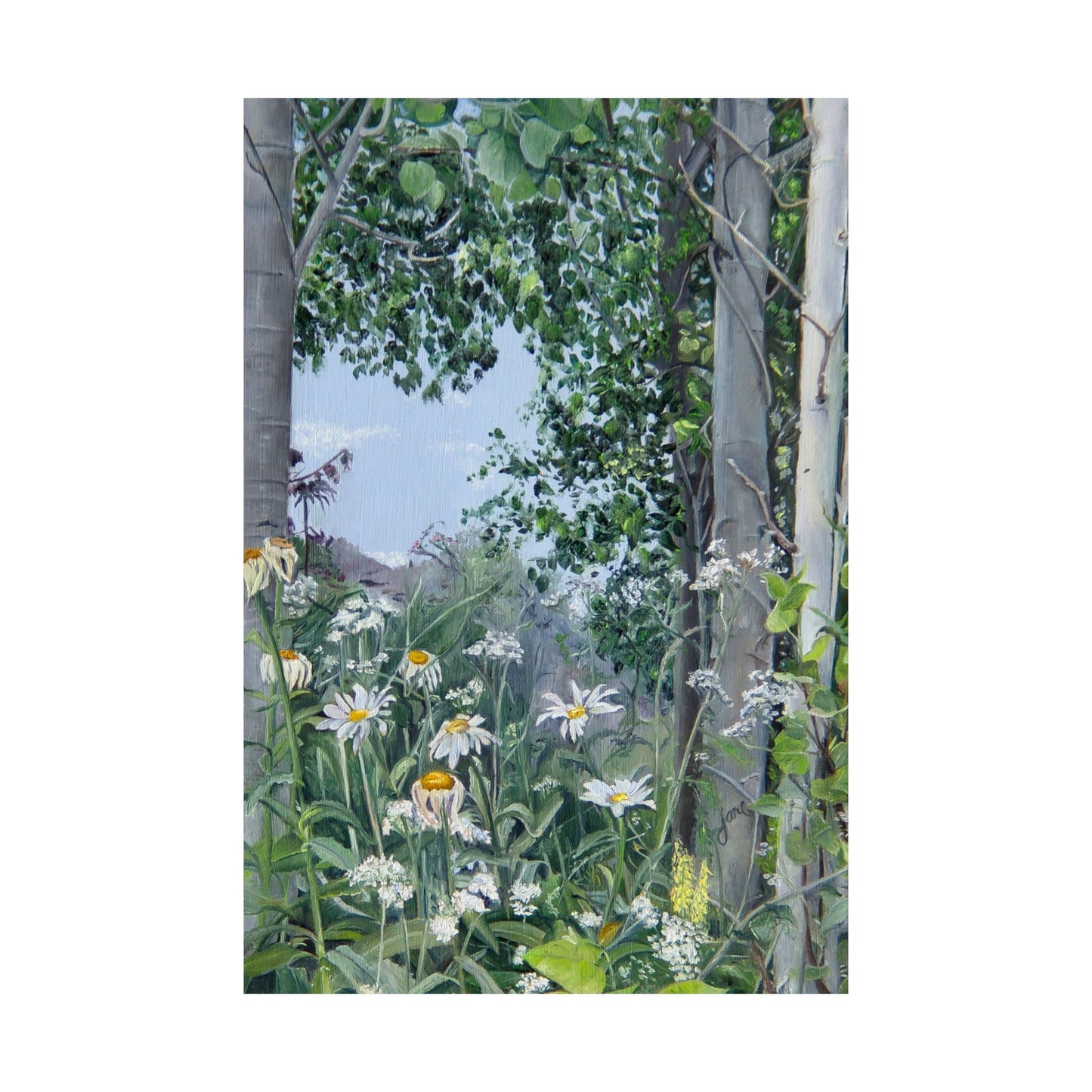 Quakies and Daisies by Jane Autry, Premium Matte Paper Print