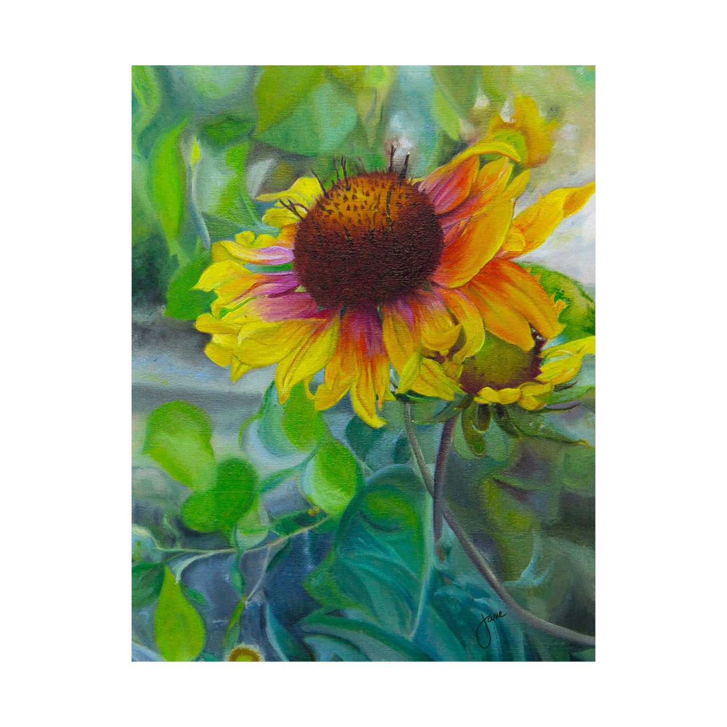 Indian Blanket Flower by Jane Autry, Premium Matte Paper Print