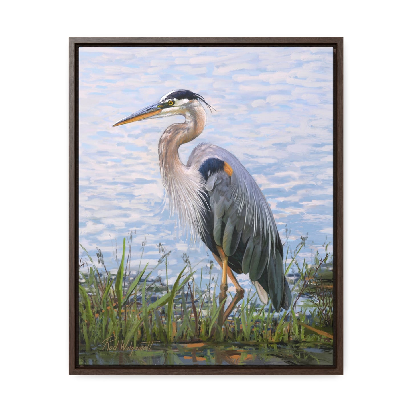 Framed canvas Wrap, Blue Heron at Stansbury Lake, by Rod Walgamott