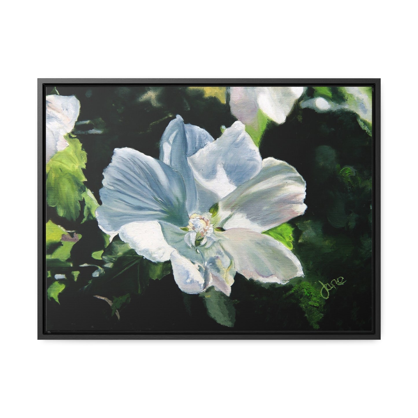 Stretched Canvas Wrap in Wood Frame, White Rose of Sharon by Jane Autry