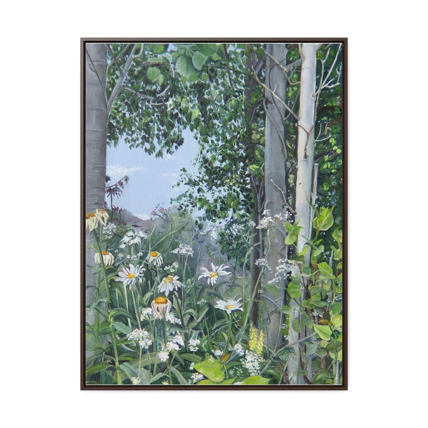 Quakies and Daisies by Jane Autry, Canvas Gallery Wrap
