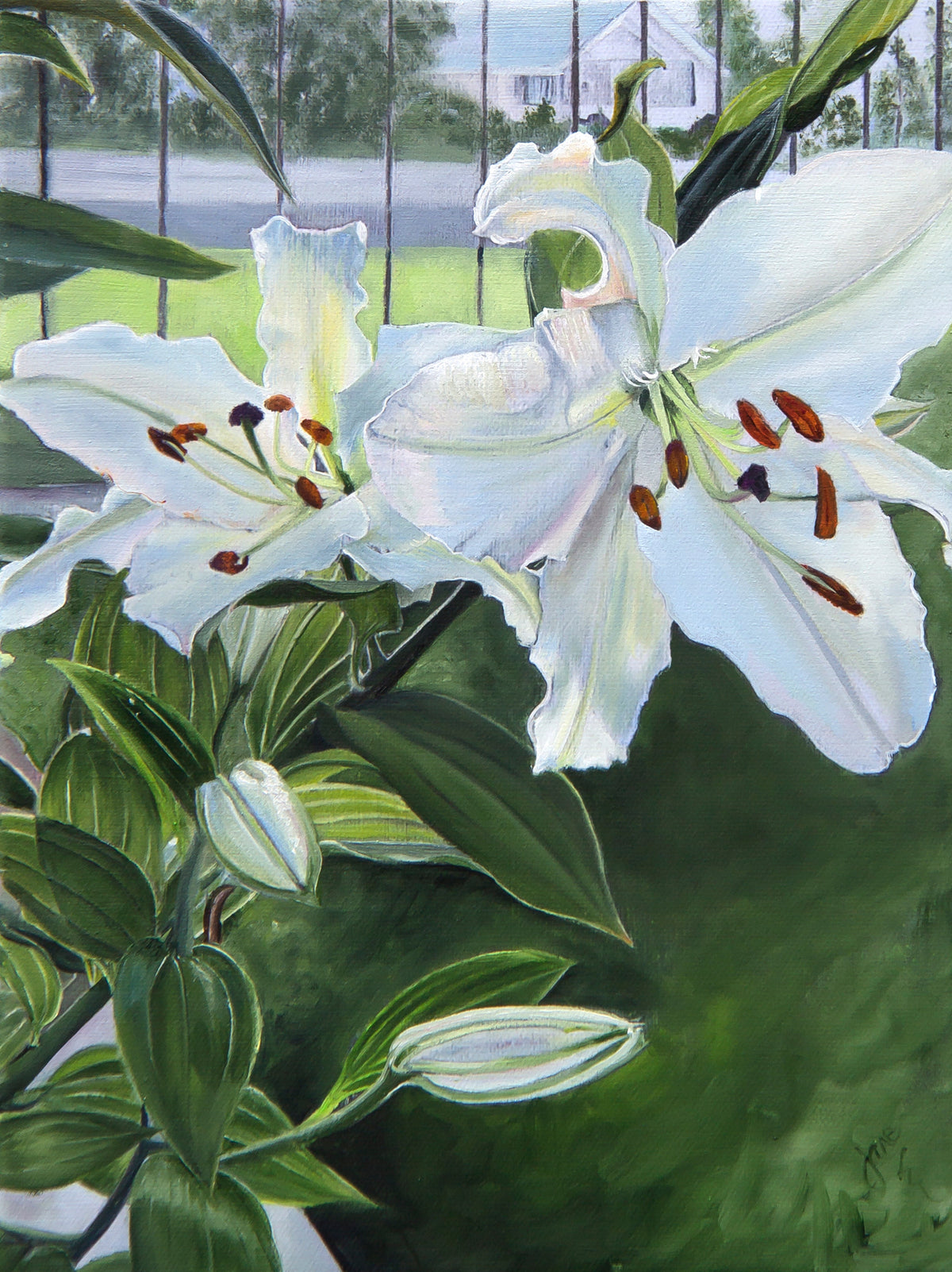 Luscious Lilies
