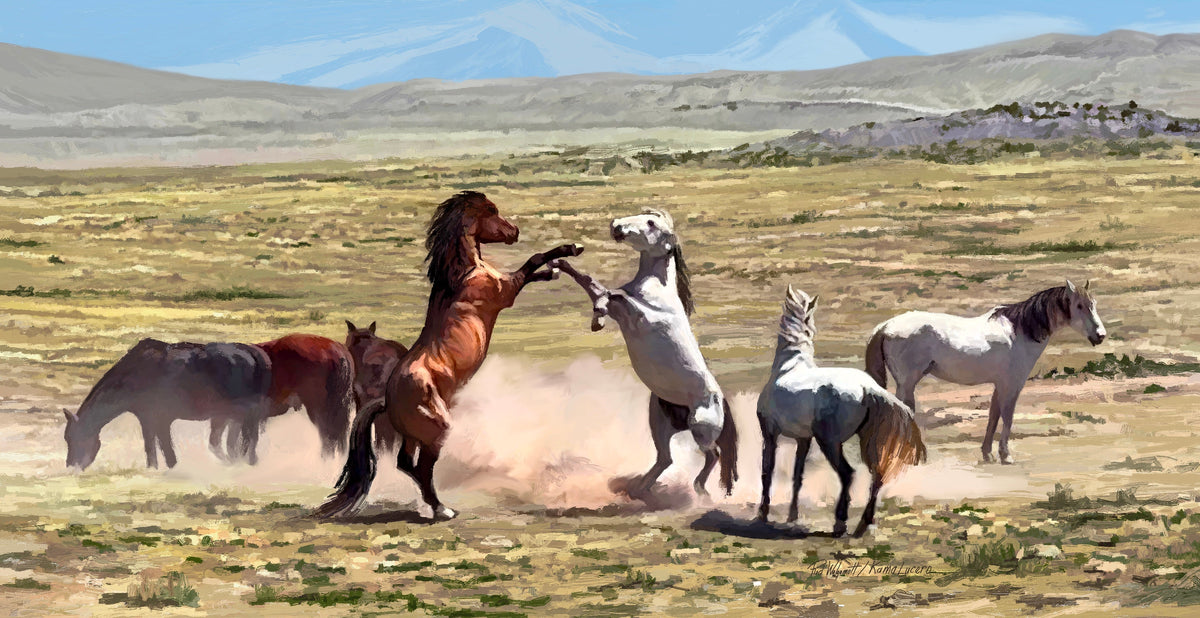 Horse Fight in Rush Valley