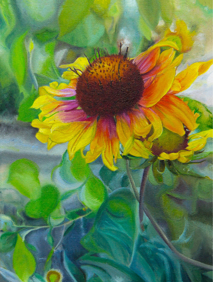 Indian Blanket Flower