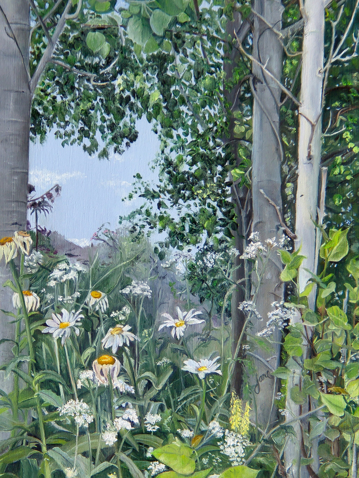 Quakies and Daisies