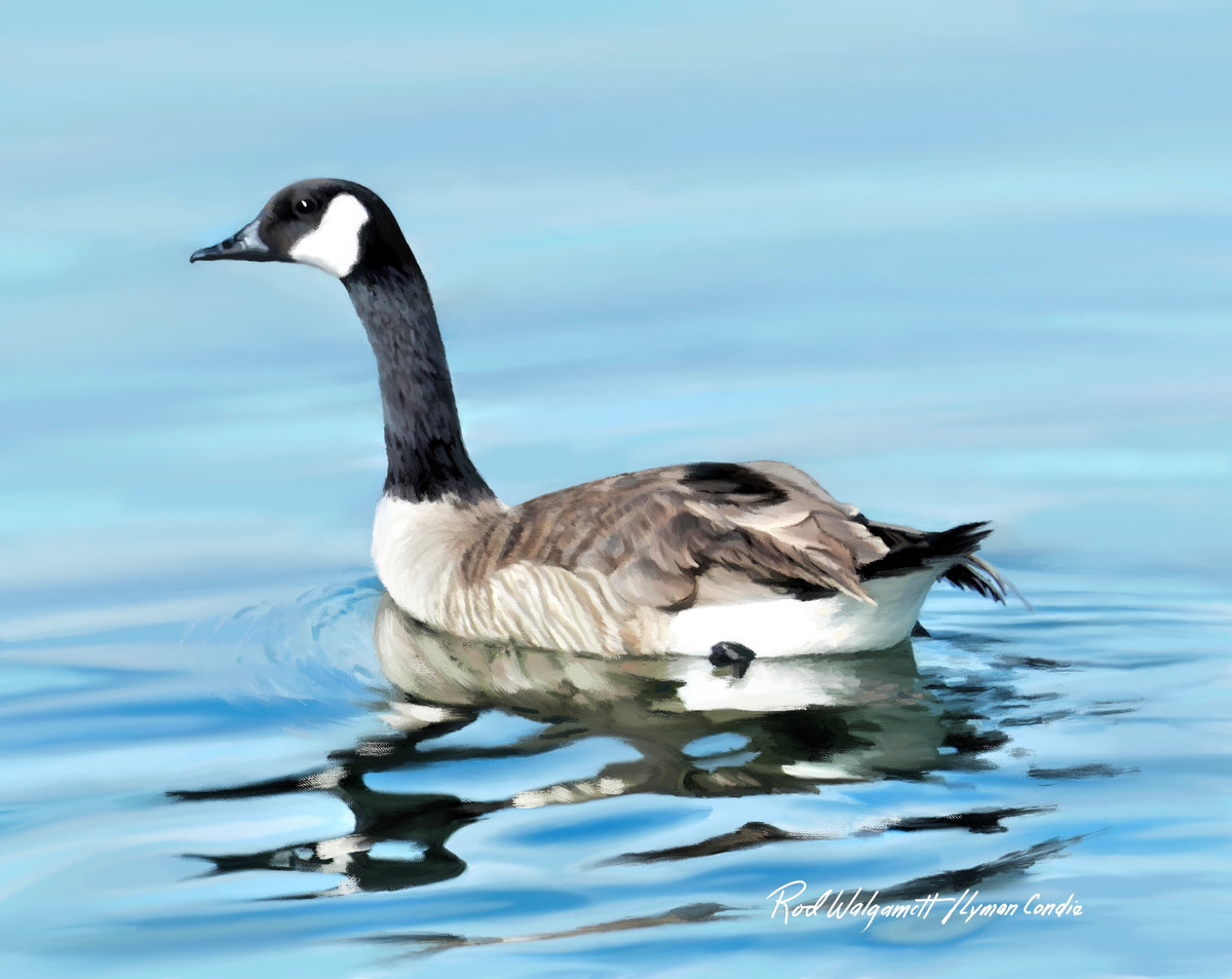 Canada Goose on Stansbury Lake