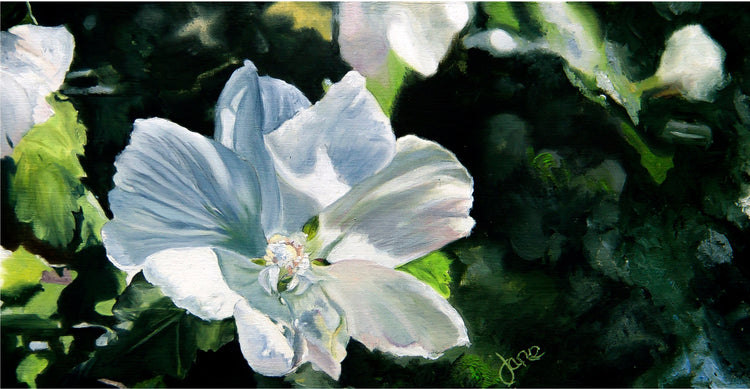 White Rose of Sharon by Jane Autry
