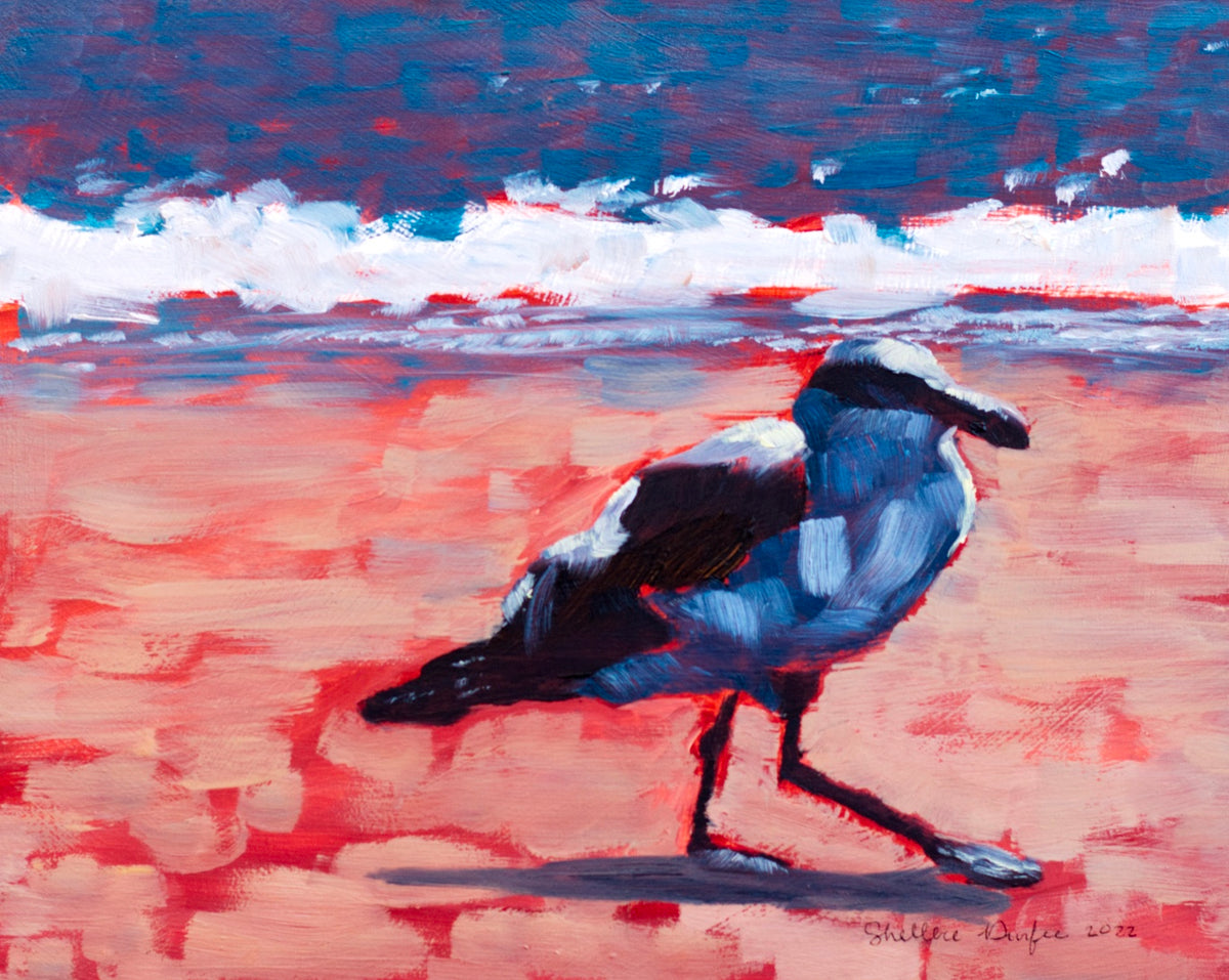 Seagull, by Shellece Durfee