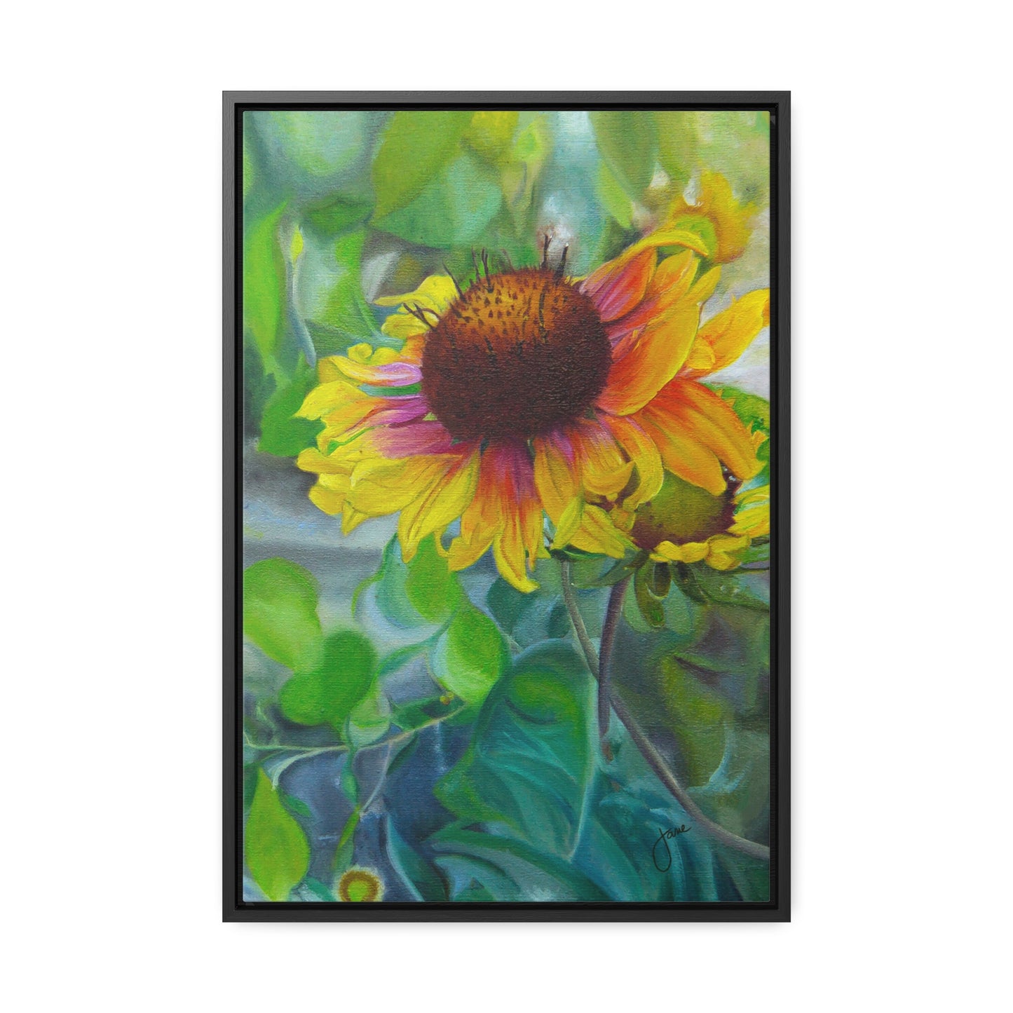 Indian Blanket Flower by Jane Autry, Canvas Gallery Wrap