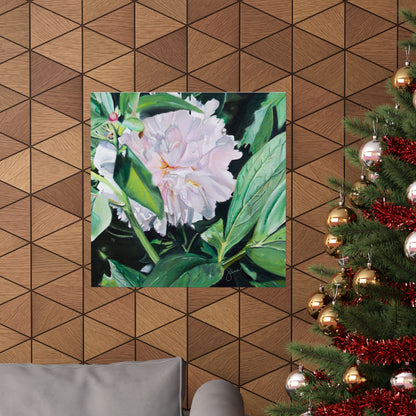 Shy Peone, by Jane Autry--Premium Matte Print
