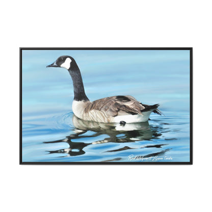 Canada Goose- Framed Matte Canvas Print