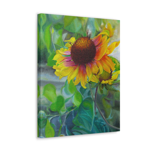 Indian Blanket Flower by Jane Autry, Canvas Gallery Wrap