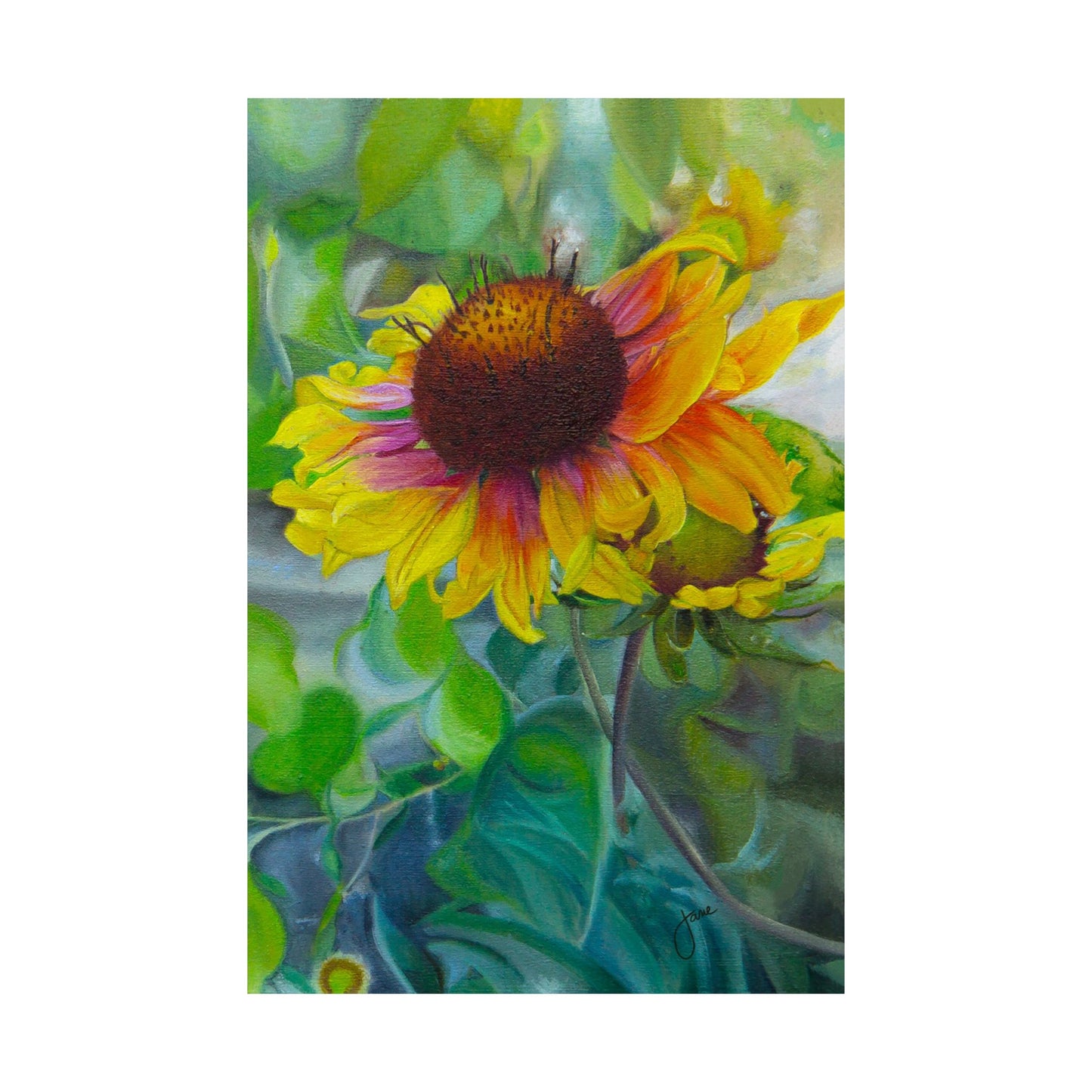 Indian Blanket Flower by Jane Autry, Premium Matte Paper Print