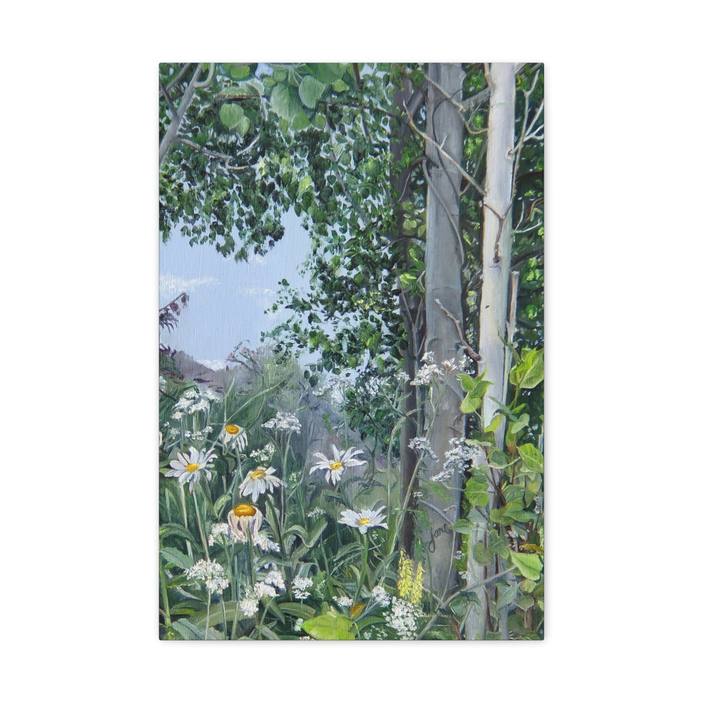 Quakies and Daisies by Jane Autry, Canvas Gallery Wrap