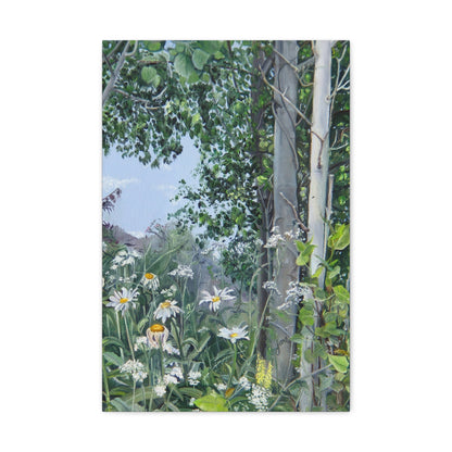 Quakies and Daisies by Jane Autry, Canvas Gallery Wrap