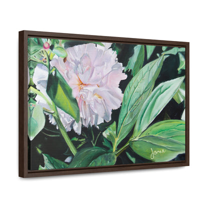 Stretched Canvas Wrap in Wood Frame, Shy Peone by Jane Autry