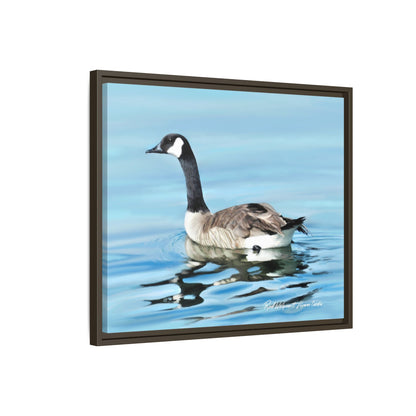 Canada Goose- Framed Matte Canvas Print
